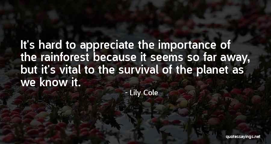 Malandrino Restaurant Quotes By Lily Cole Malandrino Restaurant Quotes By Lily Cole