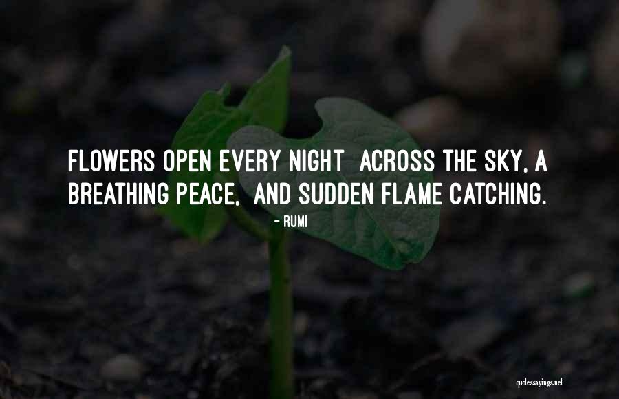 Malaprade Oxidation Quotes By Rumi Malaprade Oxidation Quotes By Rumi