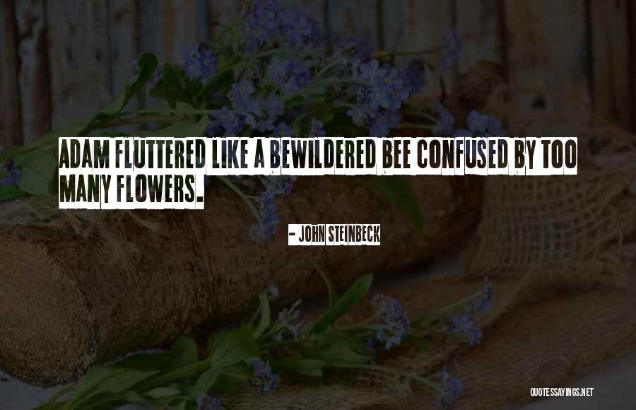Malasana Yoga Quotes By John Steinbeck
