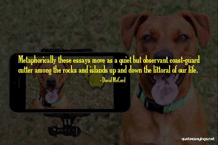Malattie Sessualmente Quotes By David McCord Malattie Sessualmente Quotes By David McCord