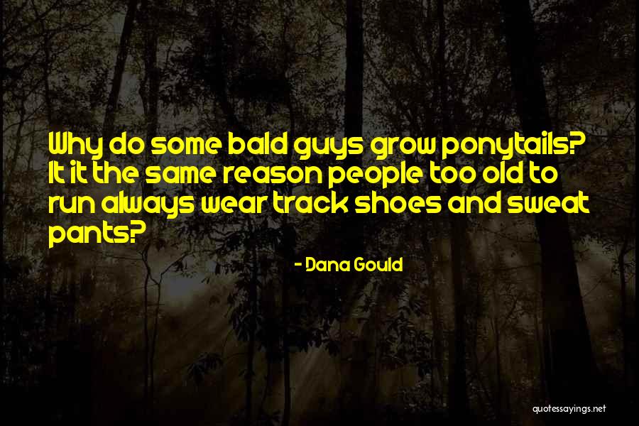 Malavasi Press Quotes By Dana Gould Malavasi Press Quotes By Dana Gould