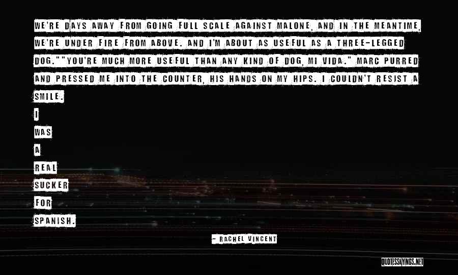 Malavita Film Quotes By Rachel Vincent Malavita Film Quotes By Rachel Vincent