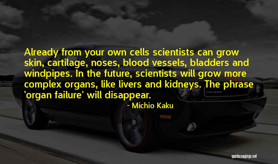 Malayan Sun Quotes By Michio Kaku Malayan Sun Quotes By Michio Kaku