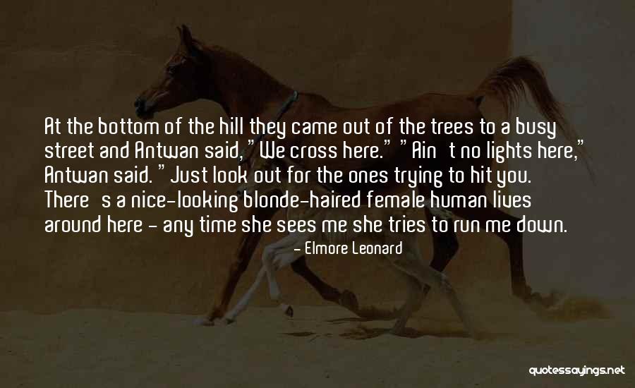 Malbec Grape Quotes By Elmore Leonard Malbec Grape Quotes By Elmore Leonard