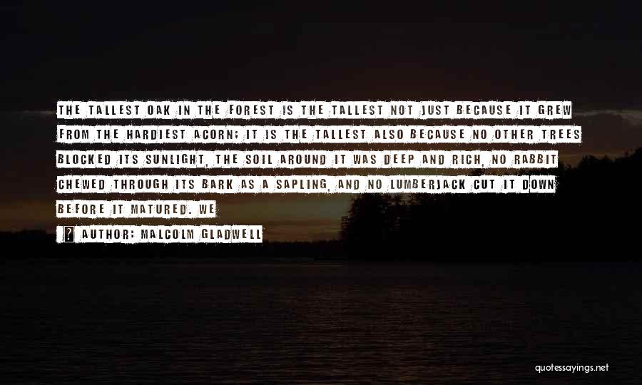 Malcolm Gladwell Quotes 368641 Malcolm Gladwell Quotes 368641