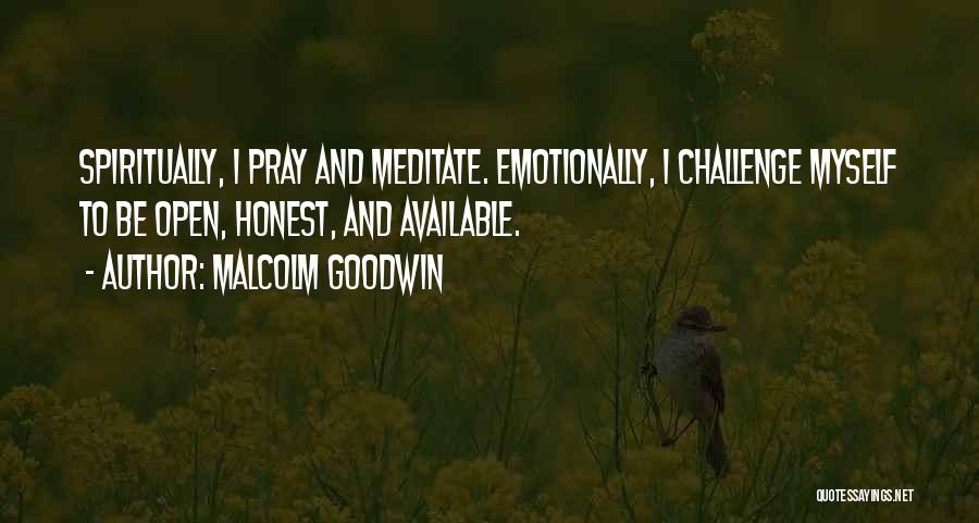 Malcolm Goodwin Quotes 1216827