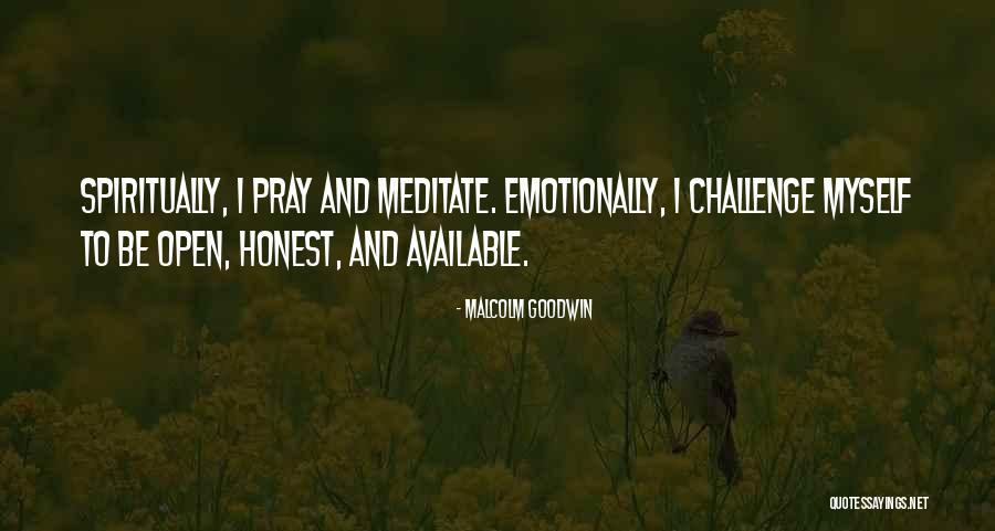 Malcolm Goodwin Quotes 1216827 Malcolm Goodwin Quotes 1216827
