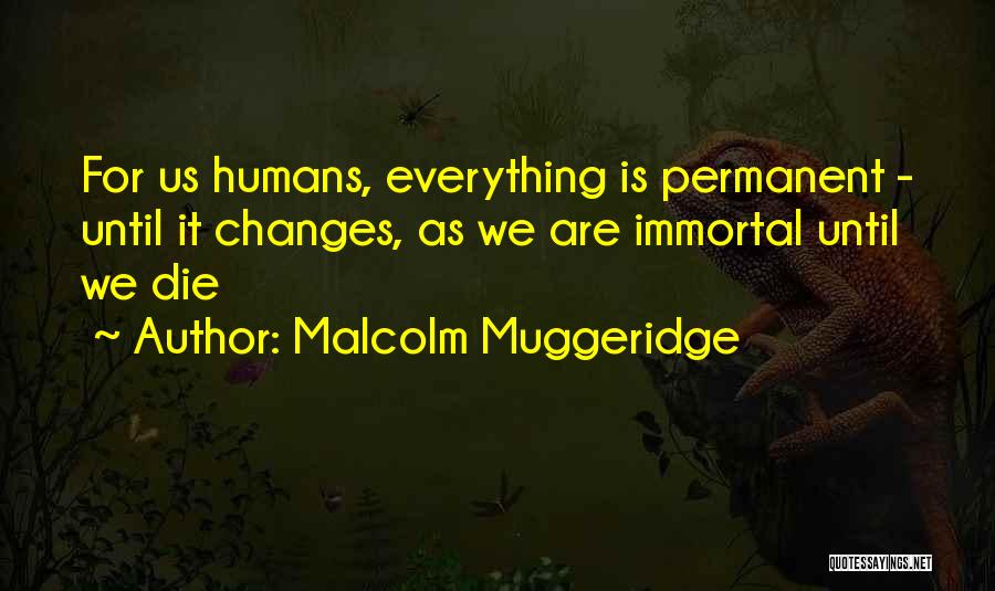 Malcolm Muggeridge Quotes 1394176