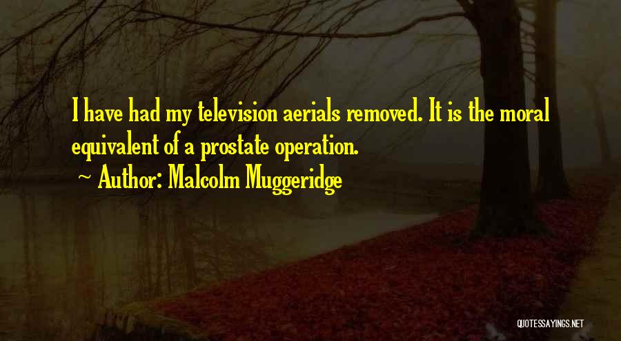 Malcolm Muggeridge Quotes 2141266