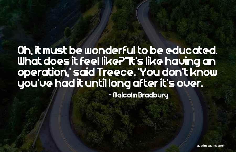 Malcolm X Education Quotes By Malcolm Bradbury