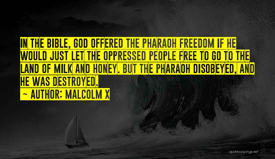 Malcolm X Quotes 1670036