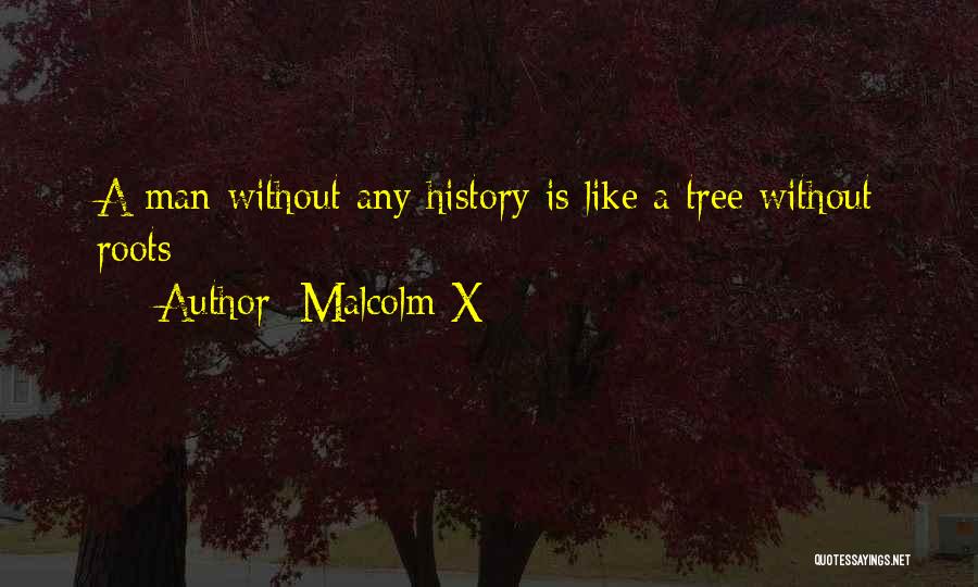 Malcolm X Quotes 458638