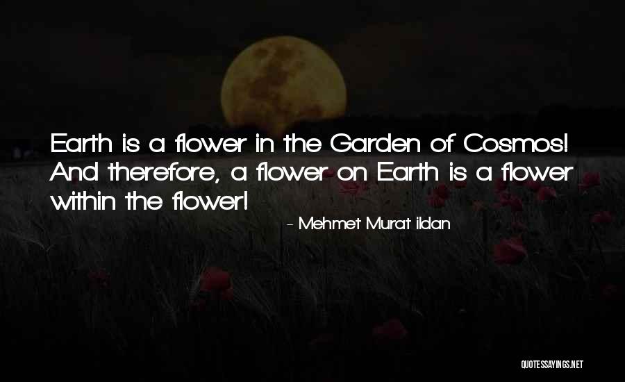 Maldiciones Mexicanas Quotes By Mehmet Murat Ildan Maldiciones Mexicanas Quotes By Mehmet Murat Ildan