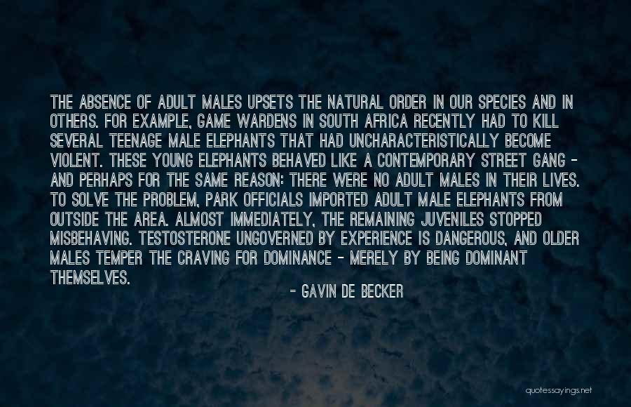 Male Dominance Quotes By Gavin De Becker