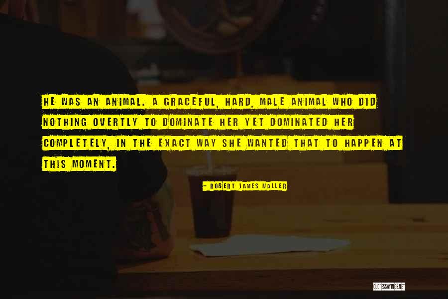 Male Dominated Quotes By Robert James Waller Male Dominated Quotes By Robert James Waller