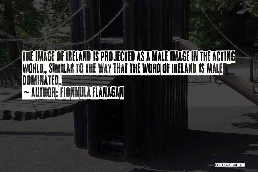 Male Dominated World Quotes By Fionnula Flanagan