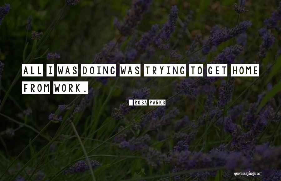 Malebranche Cookies Quotes By Rosa Parks Malebranche Cookies Quotes By Rosa Parks