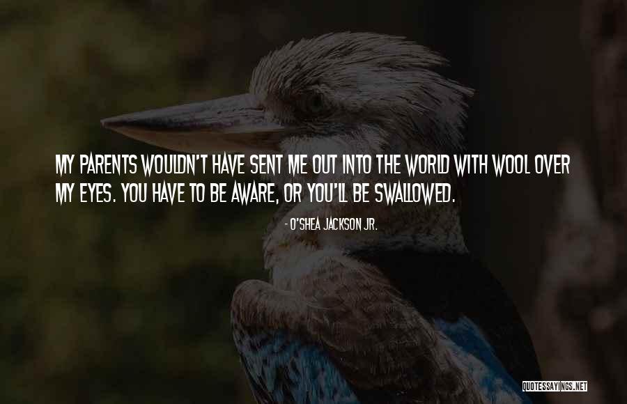 Maledetta Primavera Quotes By O'Shea Jackson Jr. Maledetta Primavera Quotes By O'Shea Jackson Jr.