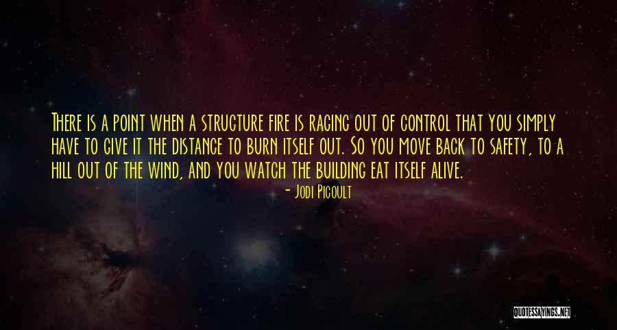 Maleeha Kirmani Quotes By Jodi Picoult Maleeha Kirmani Quotes By Jodi Picoult