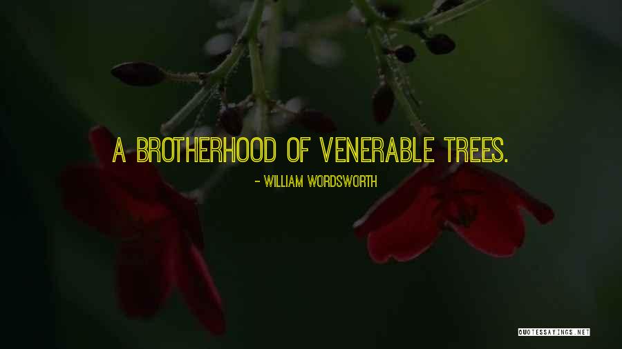 Maleficio En Quotes By William Wordsworth Maleficio En Quotes By William Wordsworth