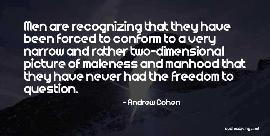 Maleness Quotes By Andrew Cohen