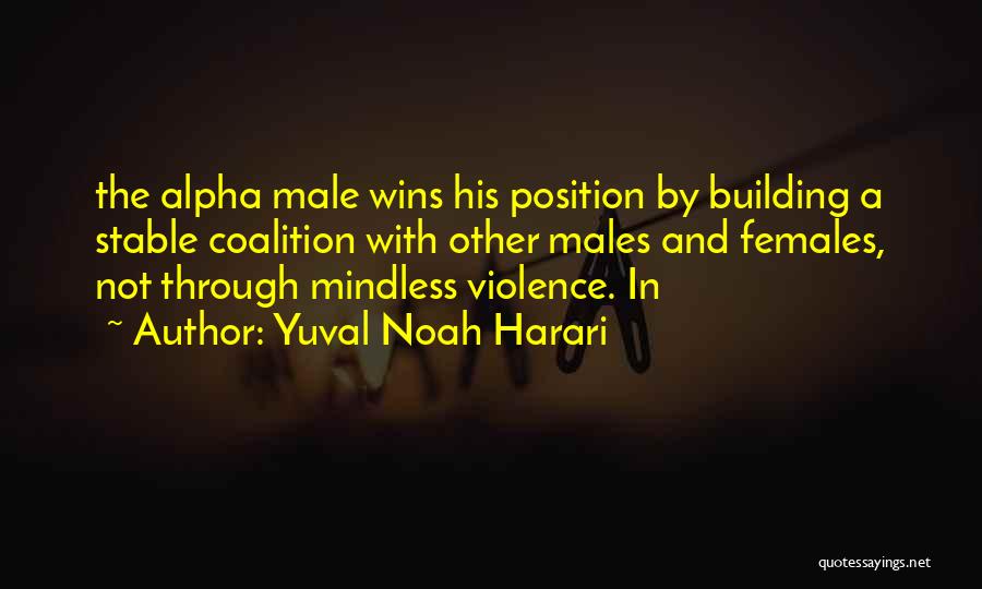 Males And Females Quotes By Yuval Noah Harari