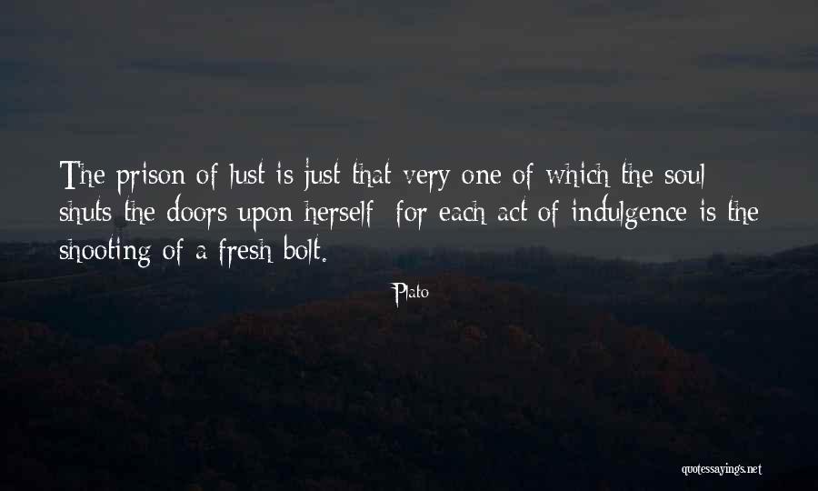 Maleski Tree Quotes By Plato Maleski Tree Quotes By Plato