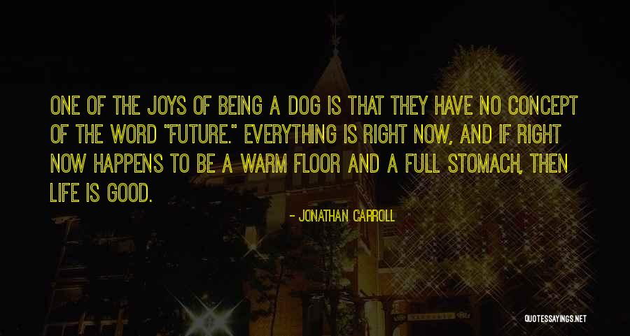 Maleta Del Quotes By Jonathan Carroll Maleta Del Quotes By Jonathan Carroll