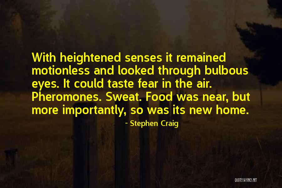Maletto Quotes By Stephen Craig Maletto Quotes By Stephen Craig