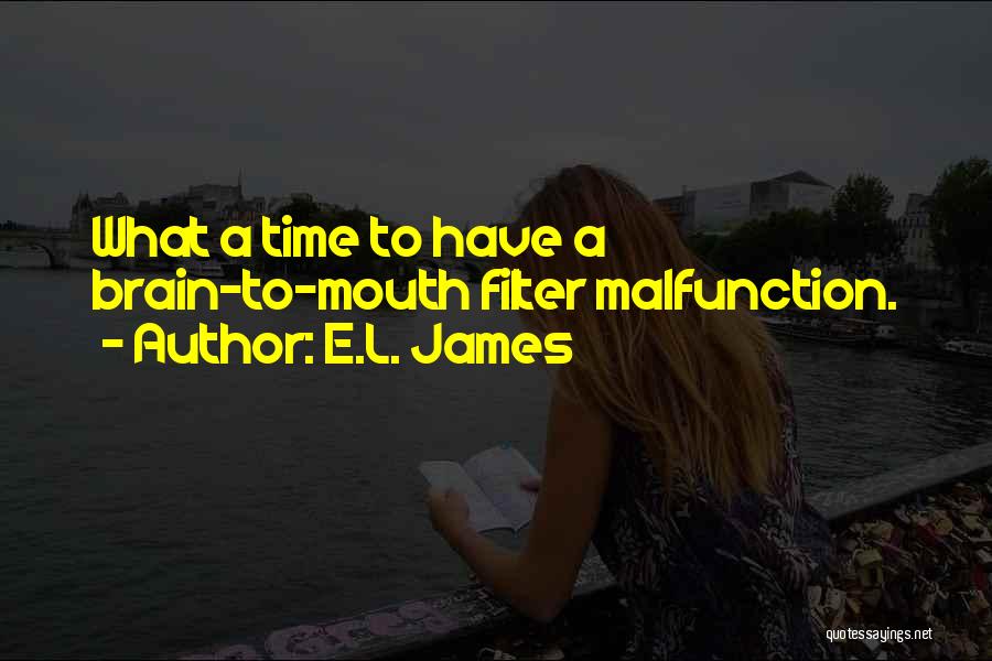 Malfunction Quotes By E.L. James