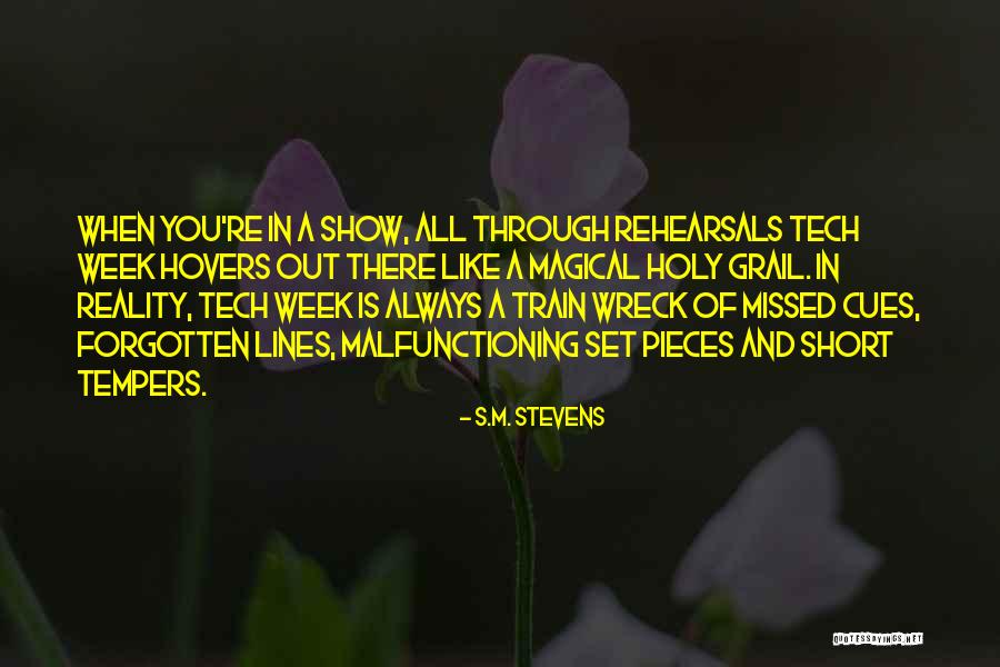 Malfunctioning Quotes By S.M. Stevens Malfunctioning Quotes By S.M. Stevens