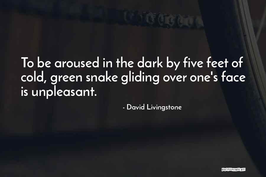 Malgosia Keach Quotes By David Livingstone Malgosia Keach Quotes By David Livingstone