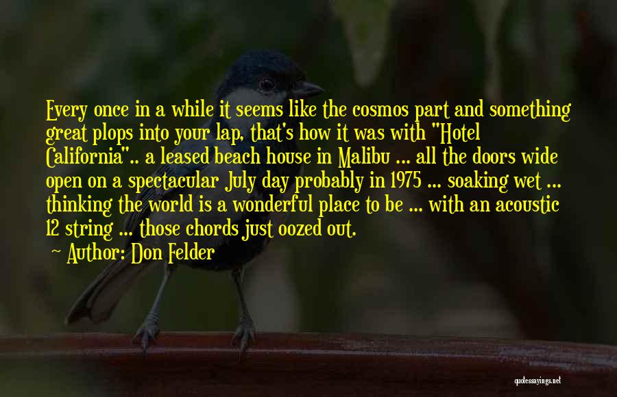 Malibu California Quotes By Don Felder
