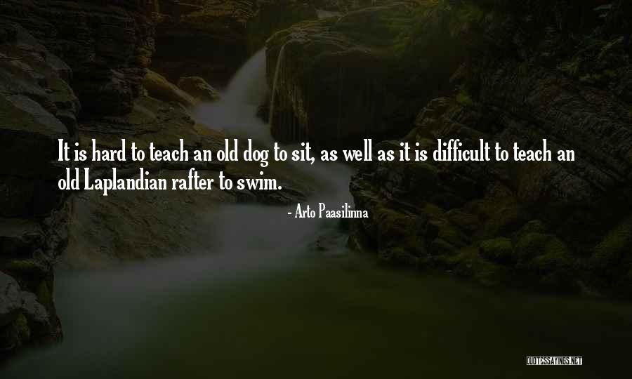 Malidoma Some Of Water Quotes By Arto Paasilinna Malidoma Some Of Water Quotes By Arto Paasilinna