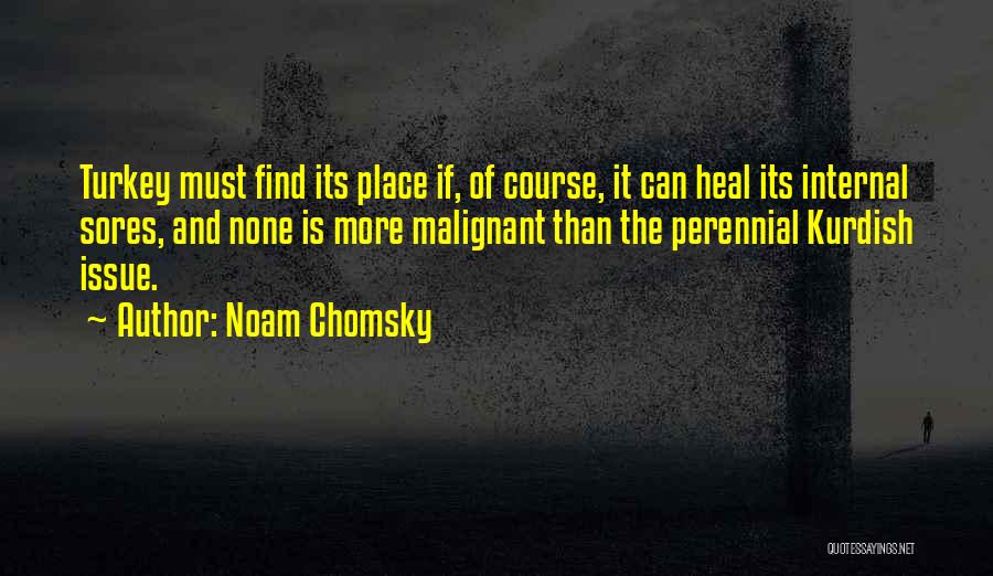 Malignant Quotes By Noam Chomsky