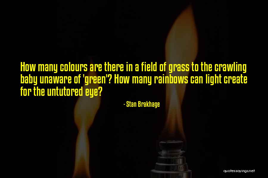 Maliheh Haghgoo Quotes By Stan Brakhage Maliheh Haghgoo Quotes By Stan Brakhage