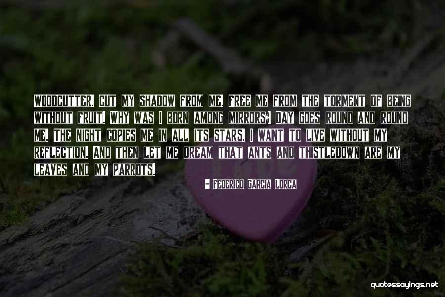 Malinen Falcon Quotes By Federico Garcia Lorca Malinen Falcon Quotes By Federico Garcia Lorca