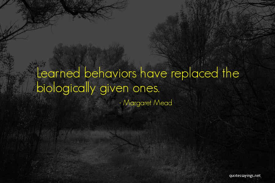 Maliwanag Kasingkahulugan Quotes By Margaret Mead Maliwanag Kasingkahulugan Quotes By Margaret Mead