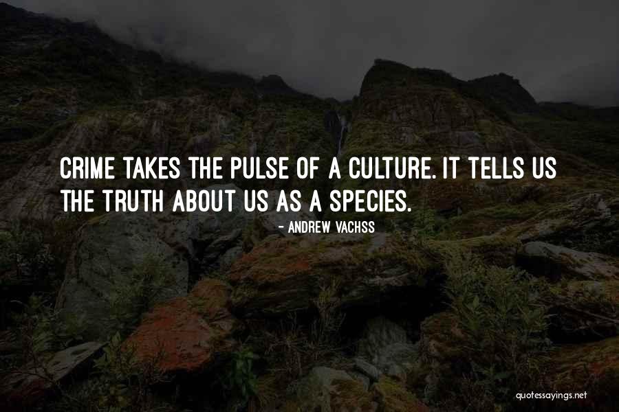 Malkhaz Gochitashvili Quotes By Andrew Vachss