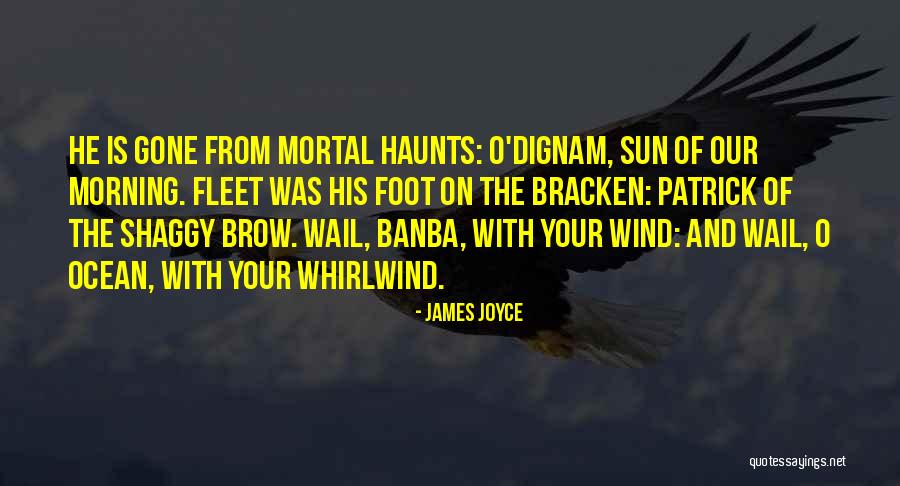 Malkmus Law Quotes By James Joyce Malkmus Law Quotes By James Joyce