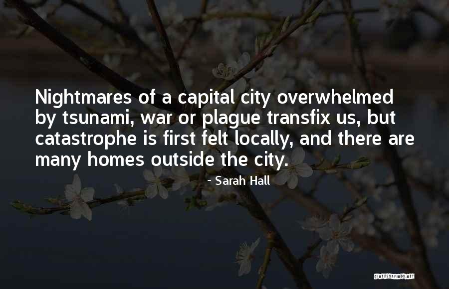 Malleability Examples Quotes By Sarah Hall Malleability Examples Quotes By Sarah Hall