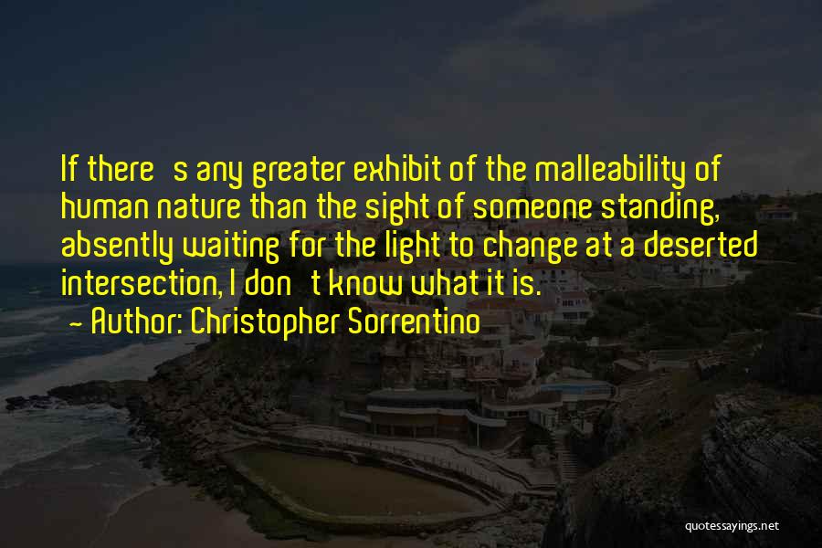 Malleability Quotes By Christopher Sorrentino