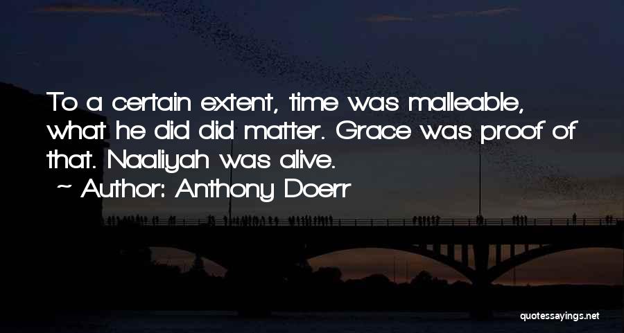 Malleable Quotes By Anthony Doerr