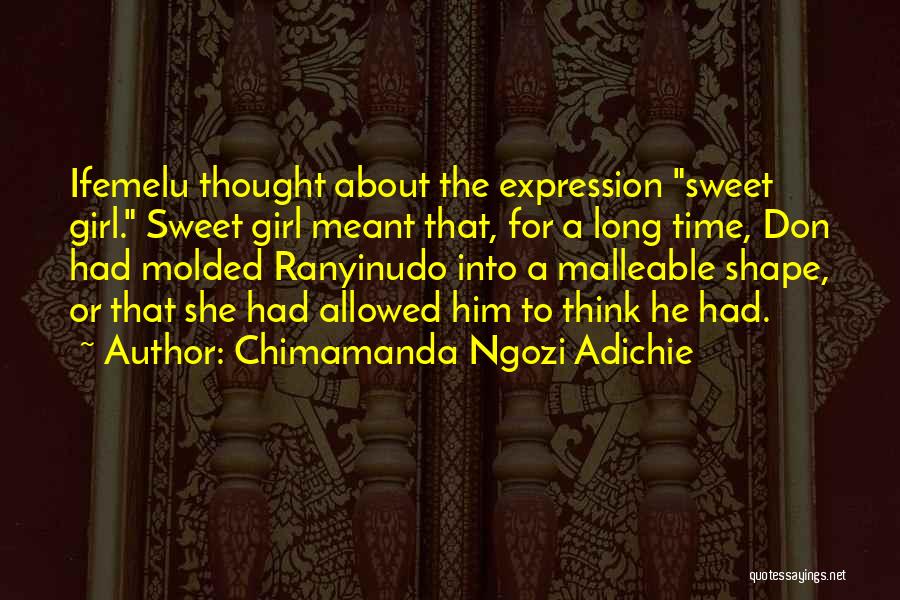 Malleable Quotes By Chimamanda Ngozi Adichie