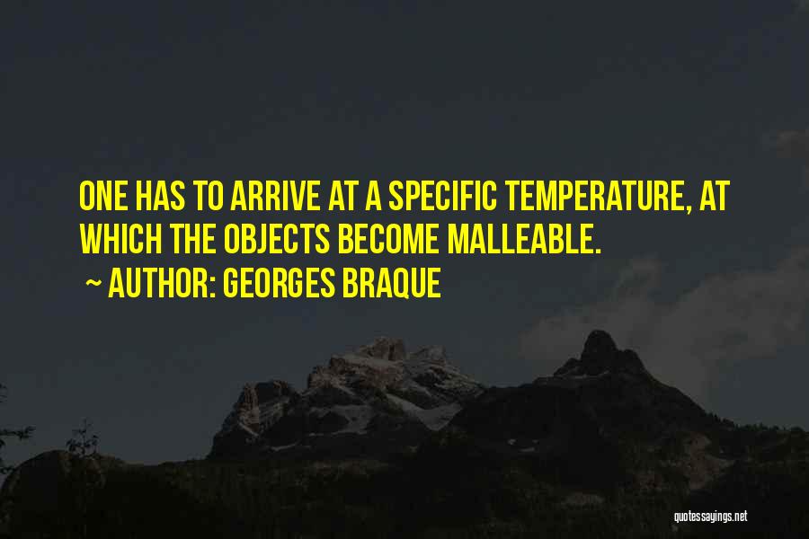 Malleable Quotes By Georges Braque