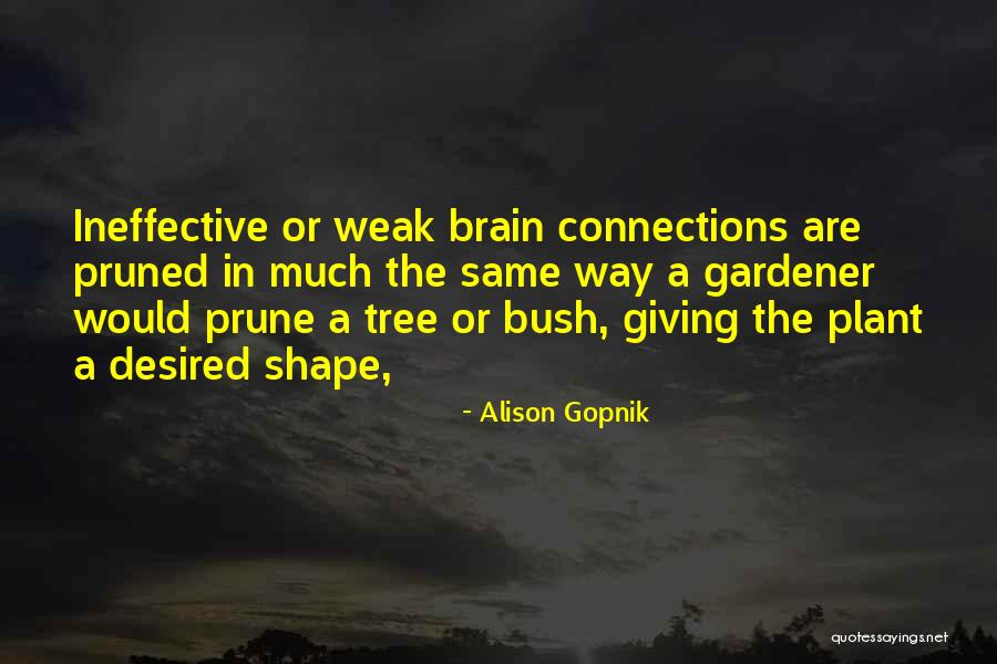 Mallen Streaks Quotes By Alison Gopnik Mallen Streaks Quotes By Alison Gopnik