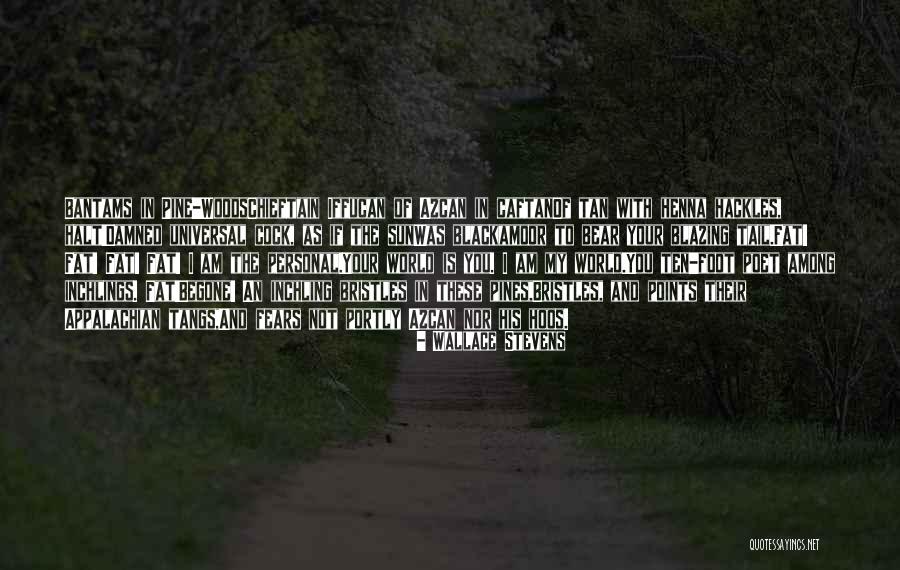 Mallian Campaign Quotes By Wallace Stevens Mallian Campaign Quotes By Wallace Stevens