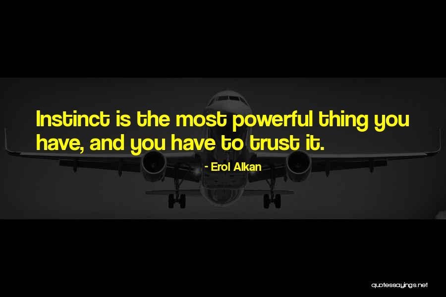 Mallonee Insurance Quotes By Erol Alkan Mallonee Insurance Quotes By Erol Alkan