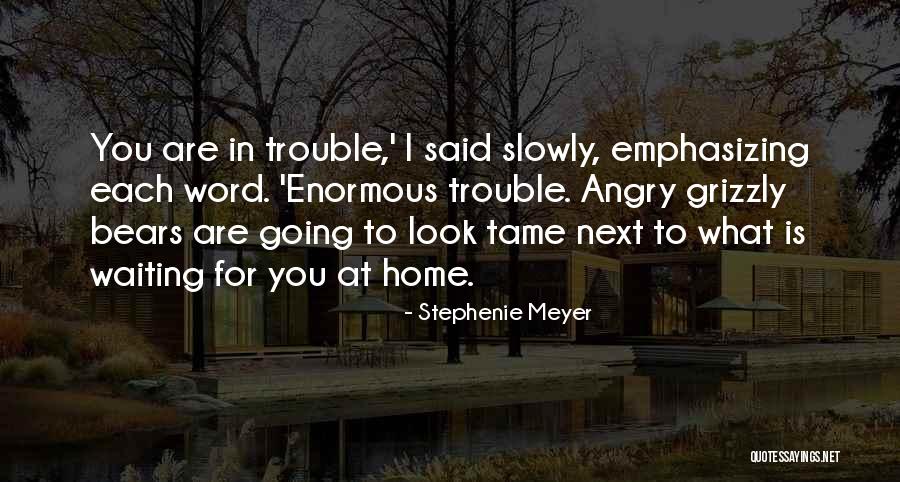 Mallons Sticky Quotes By Stephenie Meyer Mallons Sticky Quotes By Stephenie Meyer