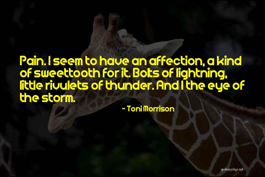 Mallowmelt Cake Quotes By Toni Morrison Mallowmelt Cake Quotes By Toni Morrison